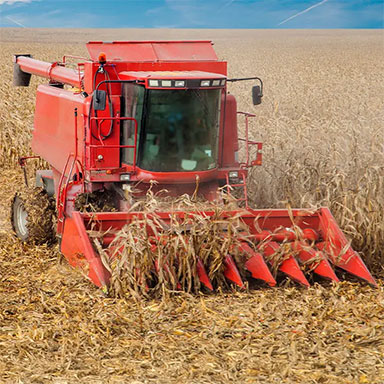 Corn Head