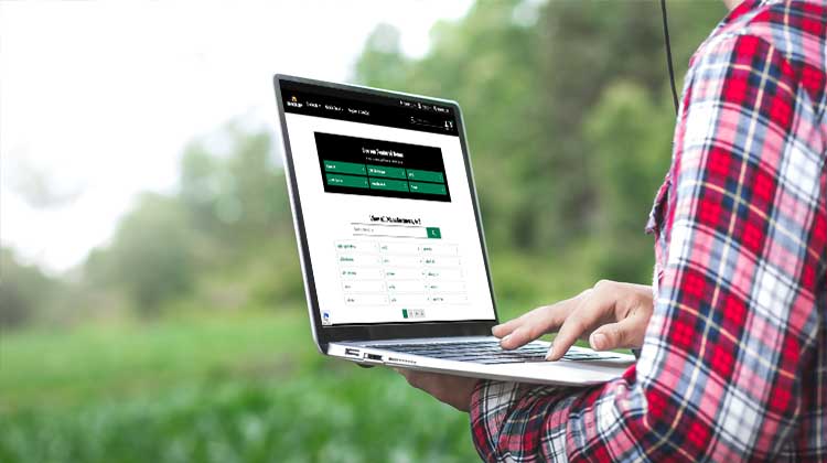 Man on laptop in field