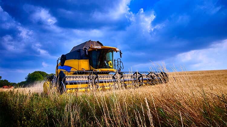 Yellow combine in field